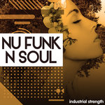 Nu Funk N Soul (Sample Pack WAV)