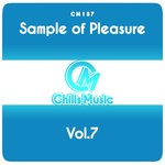 Sample Of Pleasure Vol 7