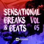 Sensational Breaks & Beats Vol 05