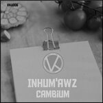 Cambium