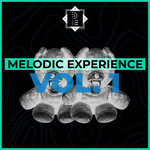 Melodic Experience (Re-Master 2021)