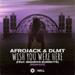 Wish You Were Here (Remixes)