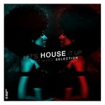 Let's House It Up Vol 29