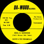 What Can I Do (To Prove My Love Is Real) / Soul & Sunshine