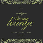 Luxury Lounge For An Evening At Home Vol 4