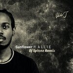 Sunflower (DJ Spinna Remix)