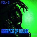 Essence Of House 3 - House & Deep House Collected