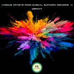 Various Artists From Musical Euphoria Records No4