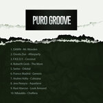 Puro Groove Selection 024