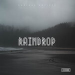 Raindrop