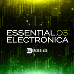 Essential Electronica Vol 06