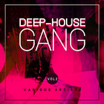 Deep-House Gang Vol 2