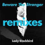 Beware The Stranger (Remixes)