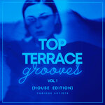 Top Terrace Grooves (House Edition) Vol 1