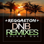 Reggaeton DNB Remixes Volume 1