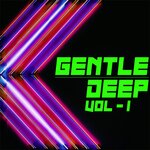 Gentle Deep Vol 1 - Deep House & Disco Sounds