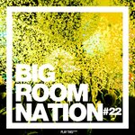 Big Room Nation Vol 22