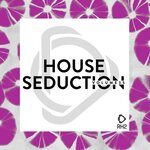 House Seduction Vol 35