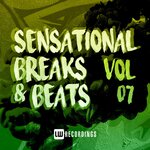 Sensational Breaks & Beats Vol 07