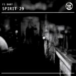Spirit 29