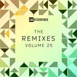 The Remixes Vol 25