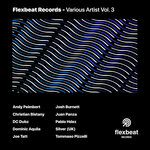 Flexbeat Records Vol 3