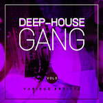 Deep-House Gang Vol 3