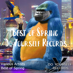 Best Of Spring Do Yourself Records (Explicit)