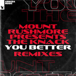 You Better (Remixes)