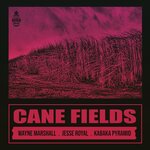 Cane Fields (Explicit)
