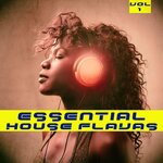 Essential House Flavas Vol 1
