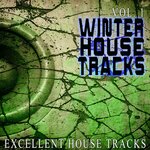 Winter House Vol 1 - Excellent House