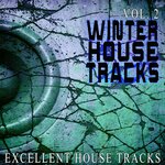 Winter House S Vol 2 - Excellent House