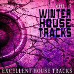 Winter House S Vol 3 - Excellent House S