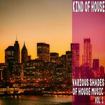 Kind Of House Vol 1 - Various Shades Of House Music