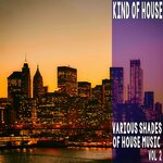 Kind Of House Vol 2 - Various Shades Of House Music