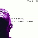 Tribal To The Top Vol 3 - Tribal For Every Mood