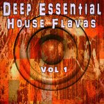 Deep Essential House Flavas Vol 1
