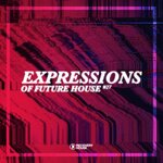 Expressions Of Future House Vol 27