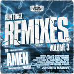 Run Tingz Remixes, Vol 3 - The Amen Project