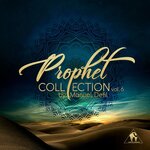 Prophet Collection Vol 6 By Manuel Delfi