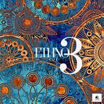 Ethno 3