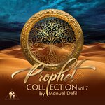 Prophet Collection, Vol 7