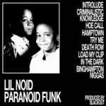 Paranoid Funk (Explicit)