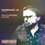 Polychromic House (Sample Pack WAV/LIVE)