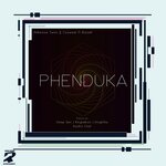 Phenduka (The Remixes)
