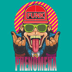 Funk Phenomena