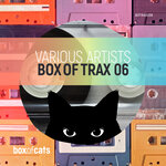 Box Of Trax Vol 6 (Extended Mixes)