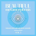 Beautiful Metamorphosis (Relaxed And Calmed Down Sounds), Vol 3