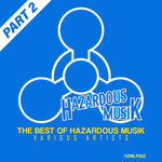 The Best Of Hazardous Musik - Part 2